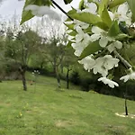 Konukevi A L'aube Des Volcans 3*