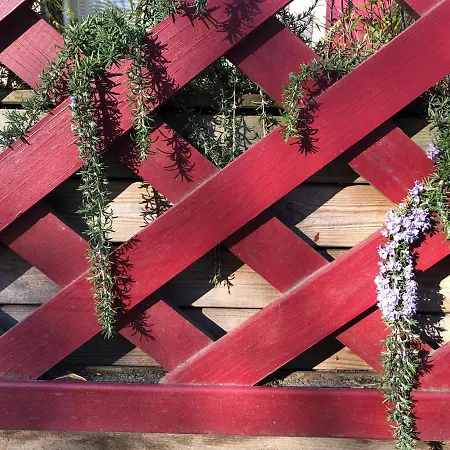A L'aube Des Volcans Charbonnières-les-Vieilles