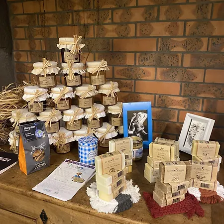 Πανσιόν A L'aube Des Volcans 3*