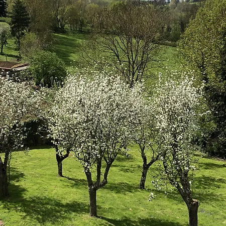 Pensión A L'aube Des Volcans Charbonnières-les-Vieilles