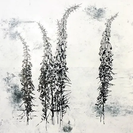 Πανσιόν A L'aube Des Volcans 3*