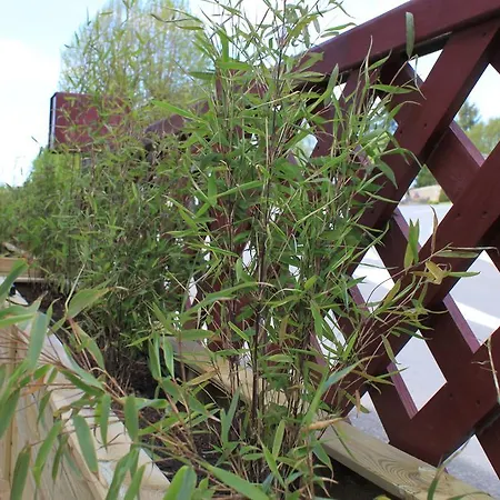 Πανσιόν A L'aube Des Volcans Charbonnières-les-Vieilles